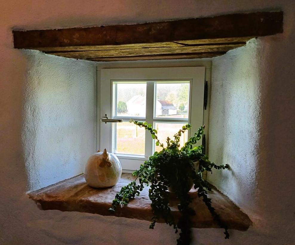 Ferienhaus "Entenhaus" Im Gutshaus De La Fontaine Feilsdorf エクステリア 写真